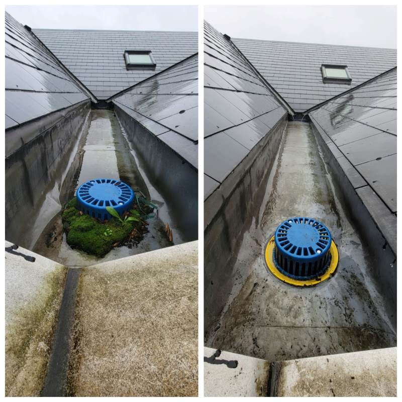 Split view of a sloped roof gutter with a blue circular drain cover; left panel shows moss around the drain, right panel shows a cleaned drain with a yellow base.