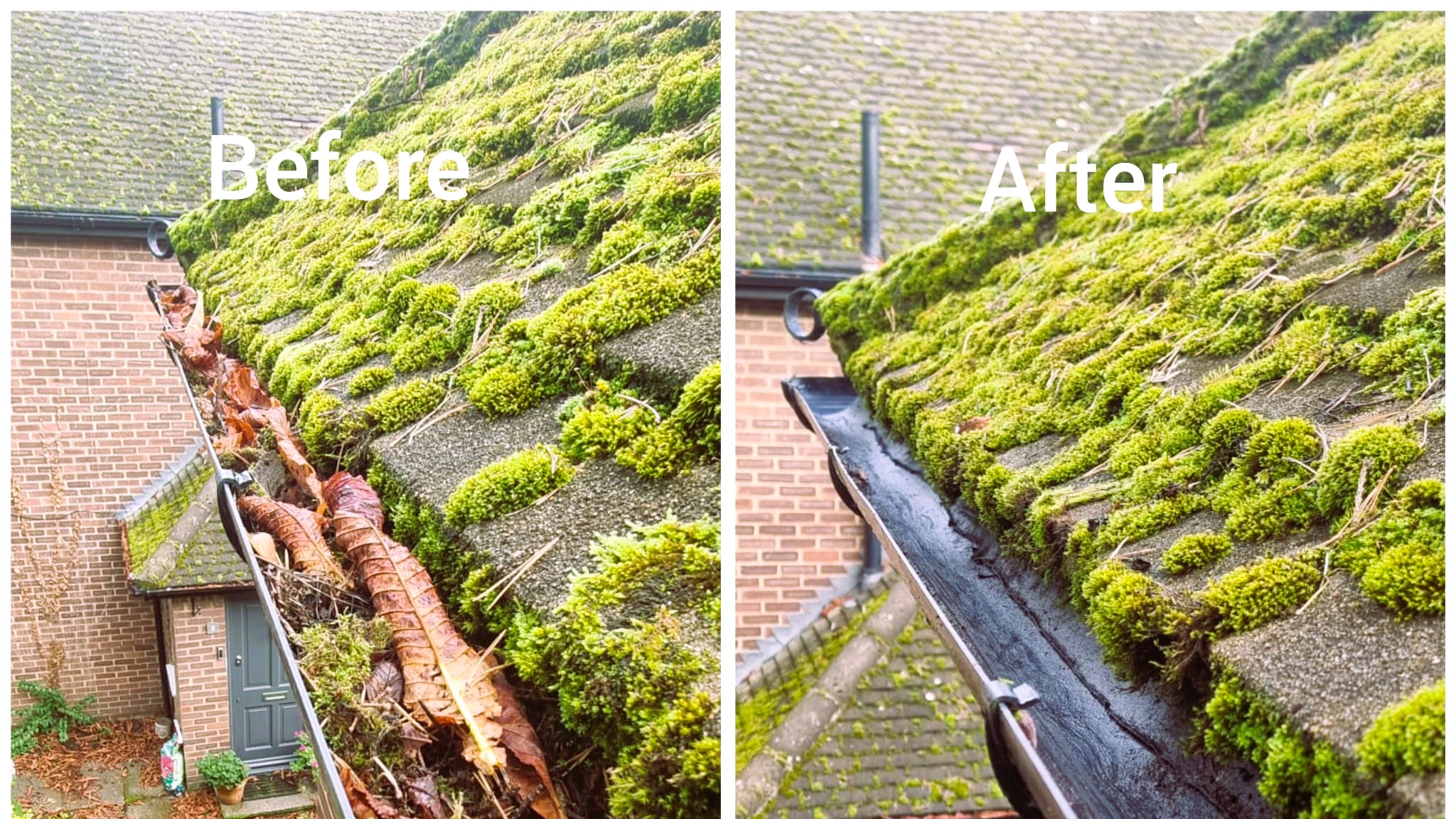 Moss-problem - The Best Professional Gutter Cleaning In South London Professional gutter cleaning and roof maintenance in South London