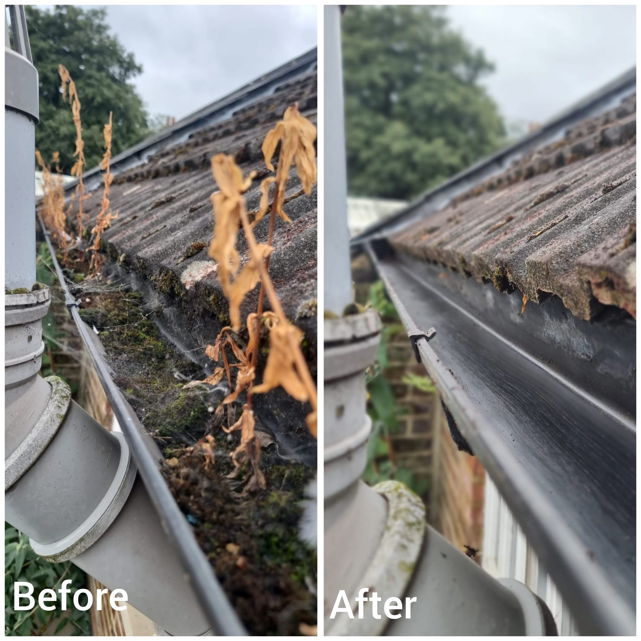 Fascia board and soffit replacement work