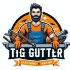 Logo Gutter TIG - The Best Professional Gutter Cleaning In South London Site Logo